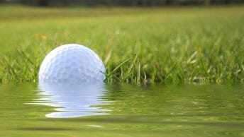 Melhores recuperadores de bolas de golfe