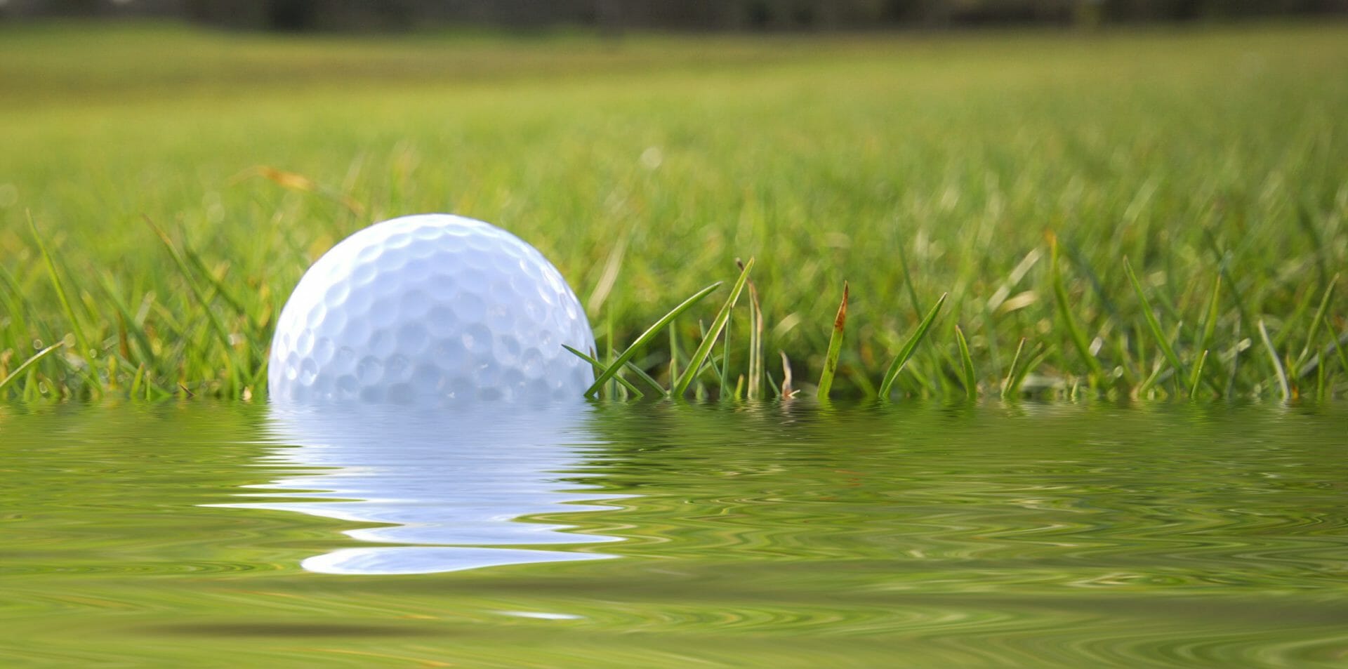 The 5 Best Golf Ball Retrievers The Golf Blog