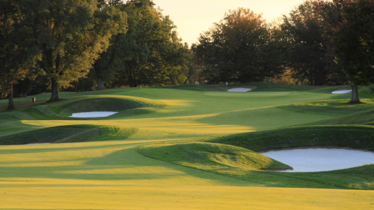 Gestão de campos de golfe - Como tomar boas decisões no campo