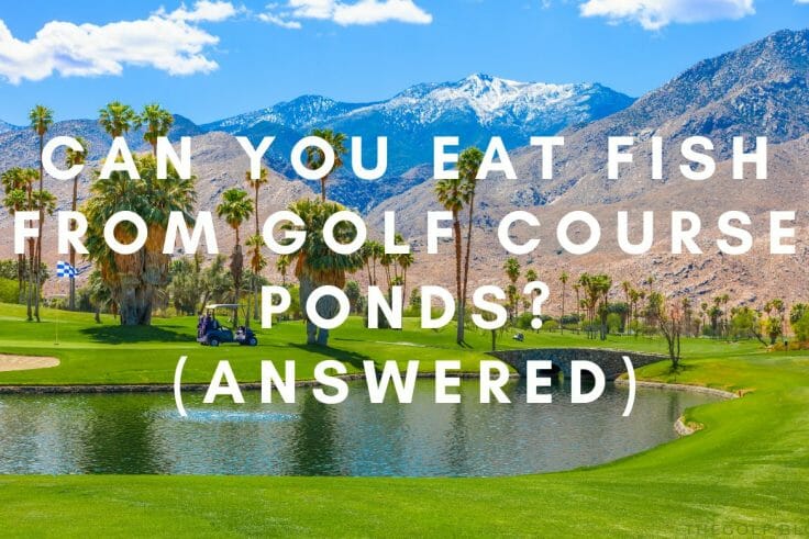 Can You Eat Fish From Golf Course Ponds (Answered)